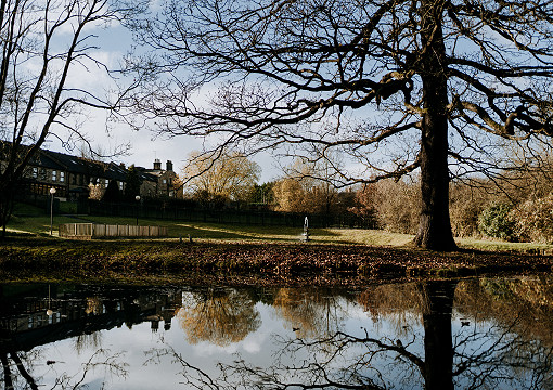 Winter Lake